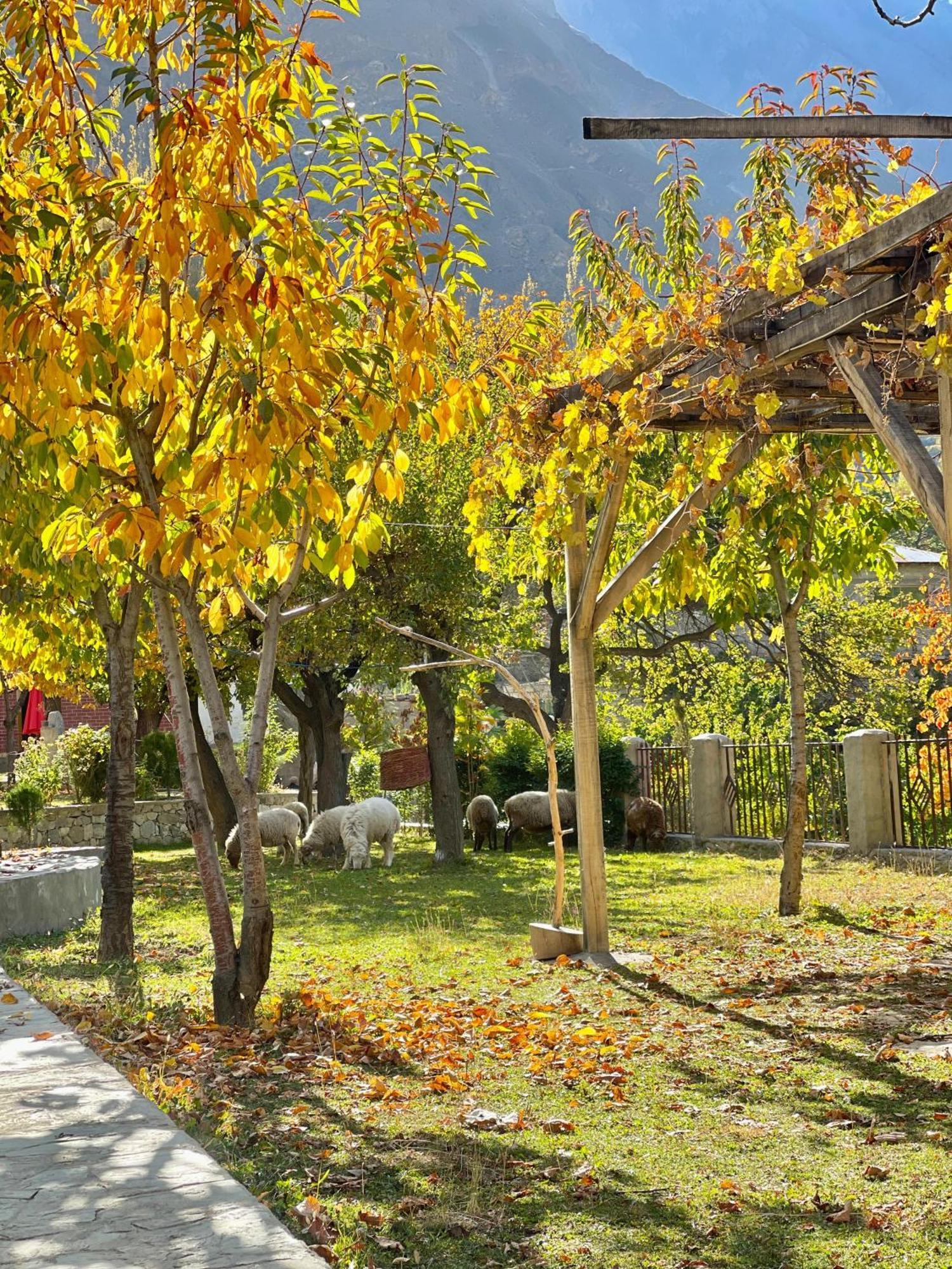 Dumani Nagar Hotel & Resort Karimabad  Ngoại thất bức ảnh