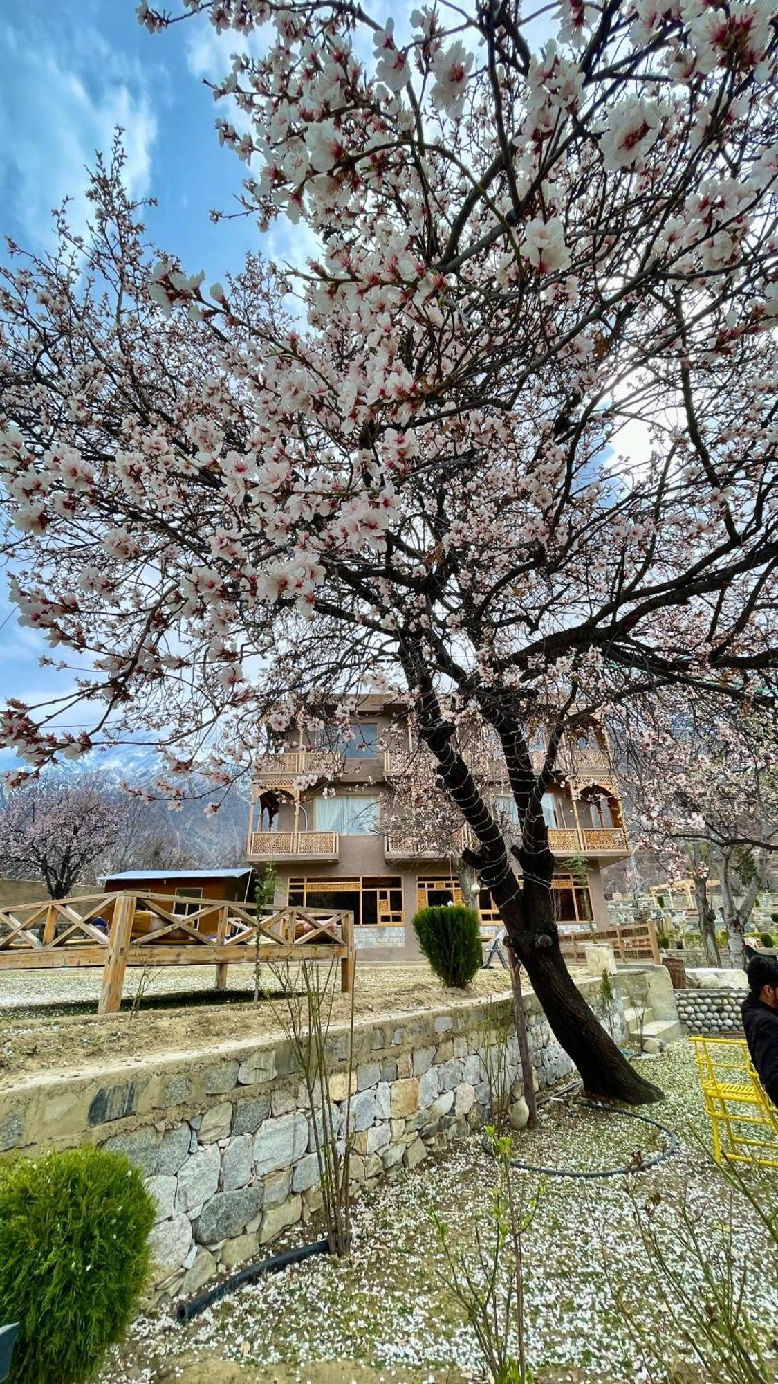 Dumani Nagar Hotel & Resort Karimabad  Ngoại thất bức ảnh